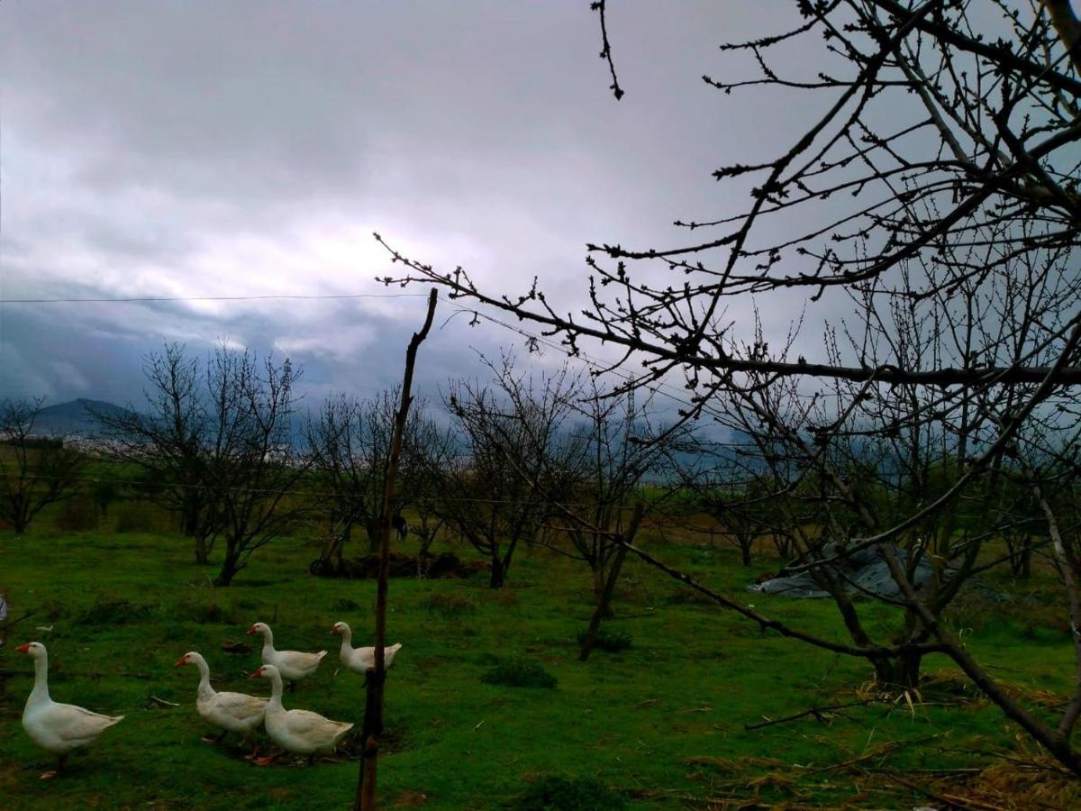 Ferme D'Hote La Vallee Azrou Εξωτερικό φωτογραφία