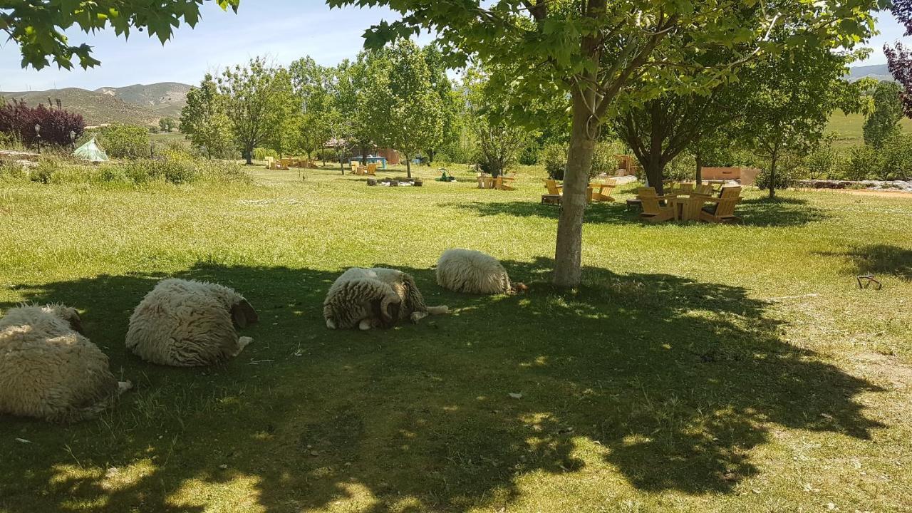 Ferme D'Hote La Vallee Azrou Εξωτερικό φωτογραφία